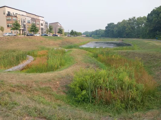 West Hyattsville Metro Pond landscape.